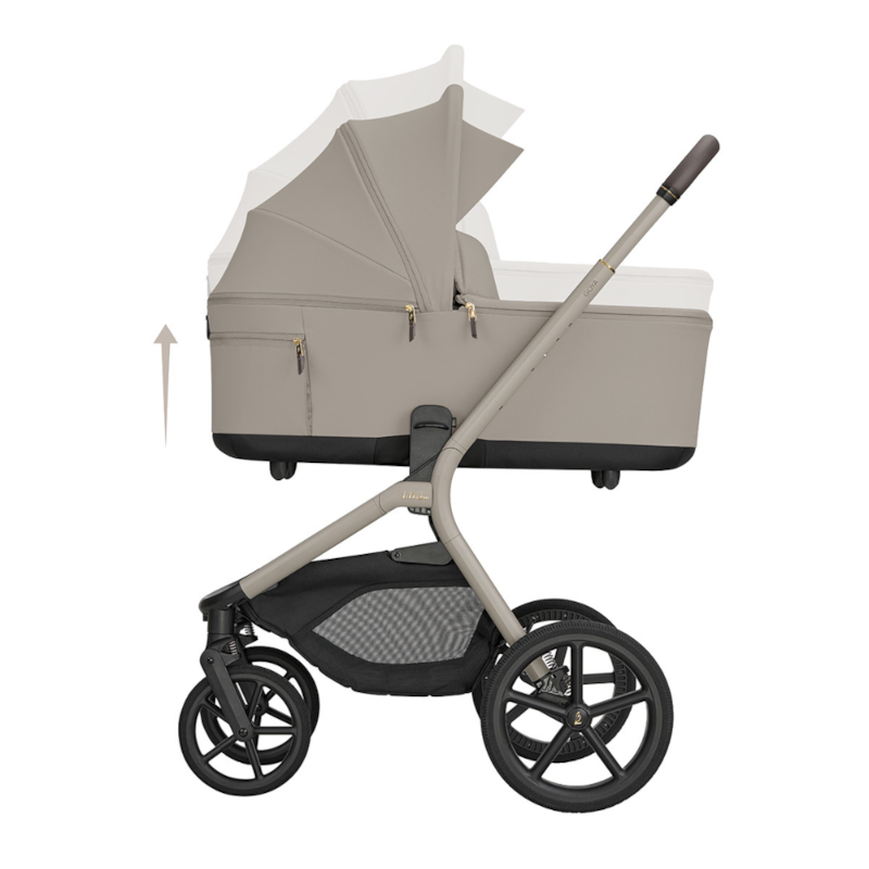 image_e028ee15-1e1c-443a-9d11-0849951bde5e